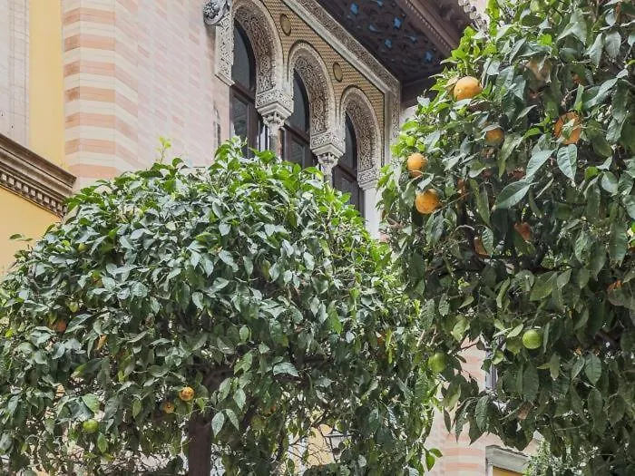 Apartment Placentines Cathedral Dreams Oasis En Santa Cruz Seville Spain